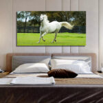 Caballo Blanco